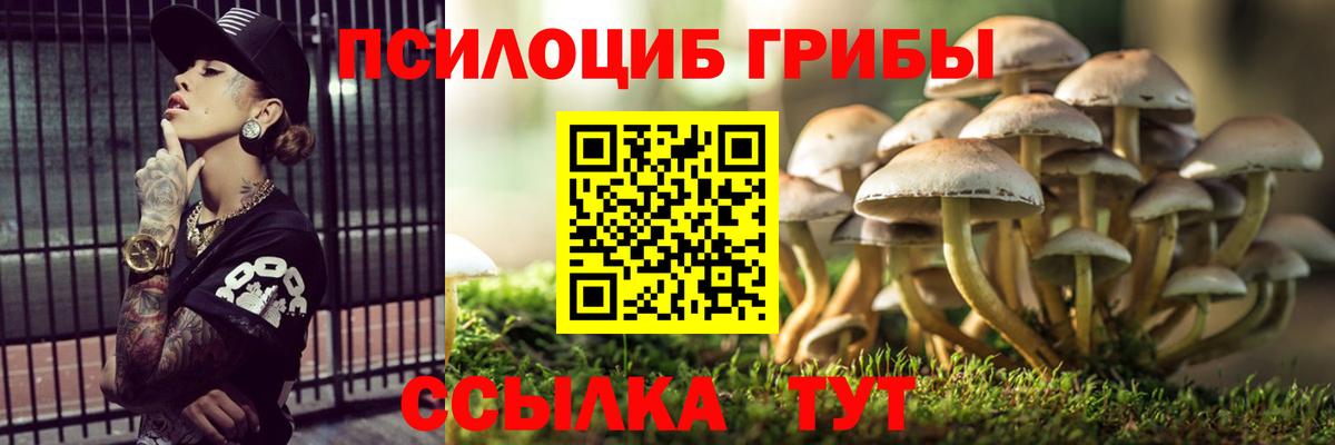цены наркотик  Галлюциногенные грибы Cubensis  Вход с VPN  Алатырь 